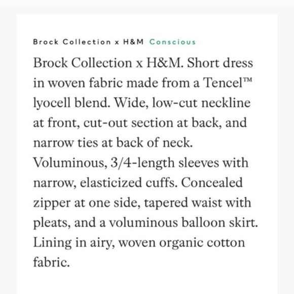 H&M x Brock Collection Lyocell Blend Floral Balloon Puff Sleeve Mini Dress XXL - Picture 15 of 15